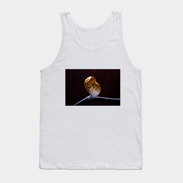 Golden Leaf Pothos Tank Top by mavicfe